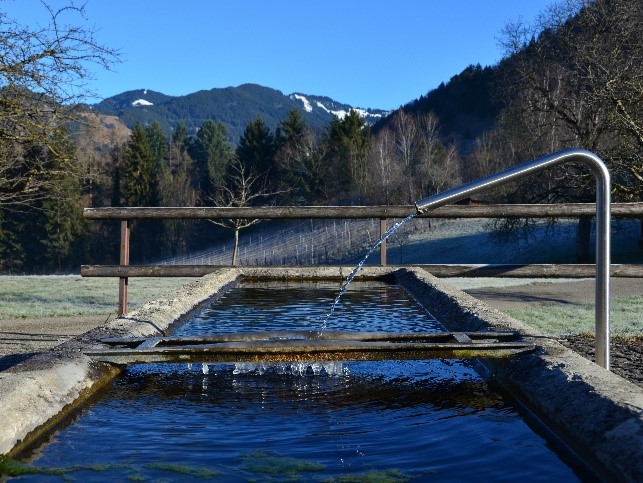 Brunnen Zwischenwasser